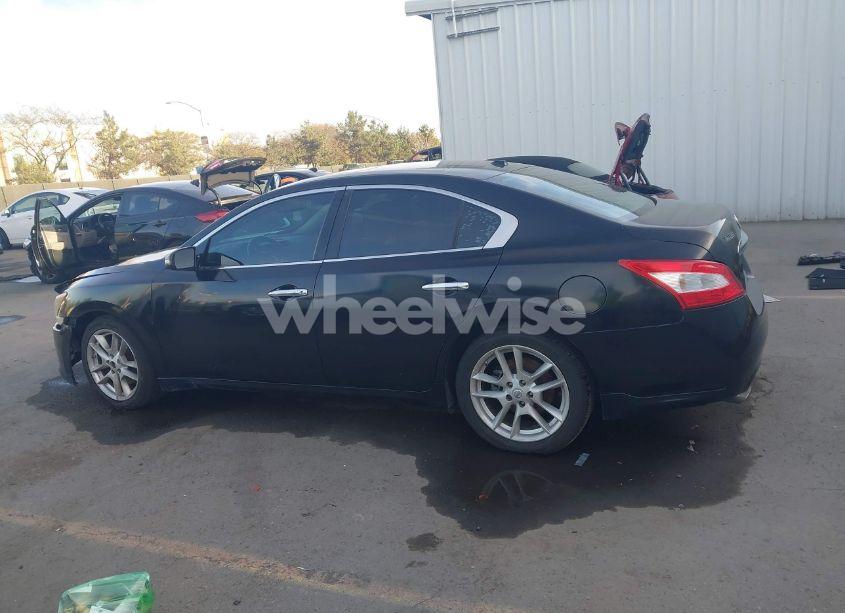 Photo 14 of 2010 Nissan Maxima 3.5 SV (VIN 1N4AA5AP1AC805361)