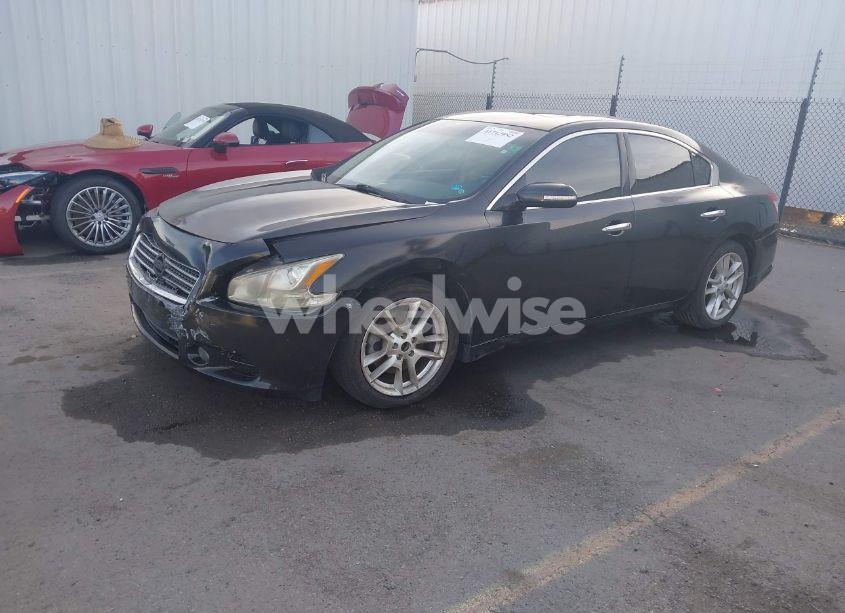 Photo 2 of 2010 Nissan Maxima 3.5 SV (VIN 1N4AA5AP1AC805361)