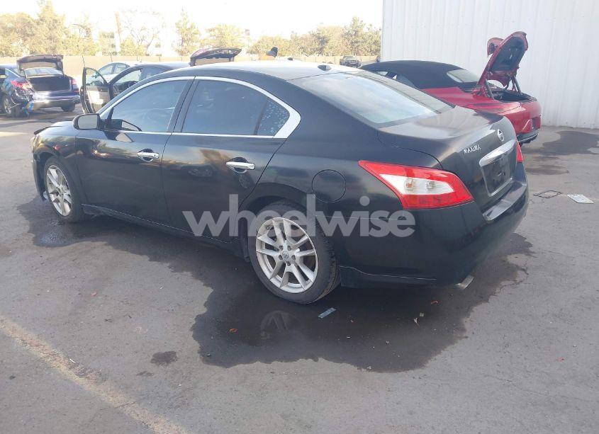 Photo 3 of 2010 Nissan Maxima 3.5 SV (VIN 1N4AA5AP1AC805361)