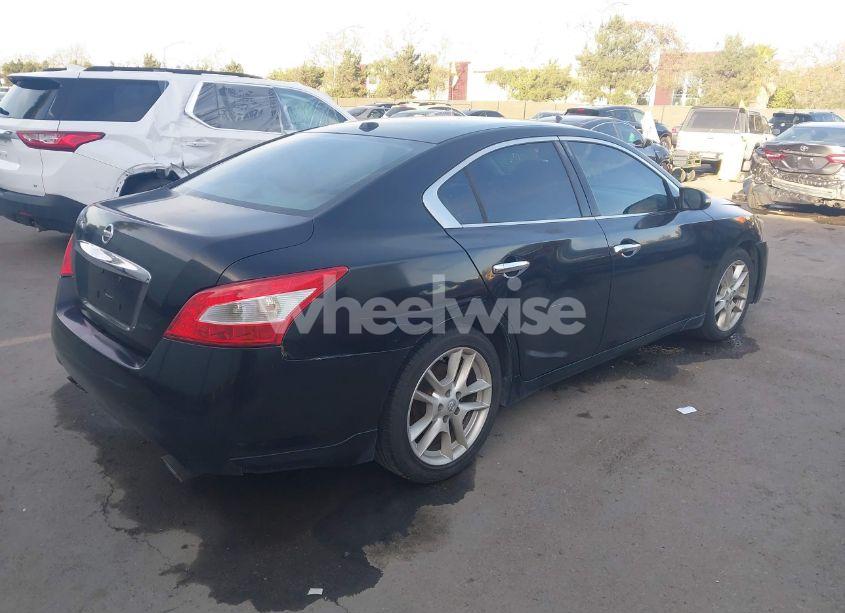 Photo 4 of 2010 Nissan Maxima 3.5 SV (VIN 1N4AA5AP1AC805361)