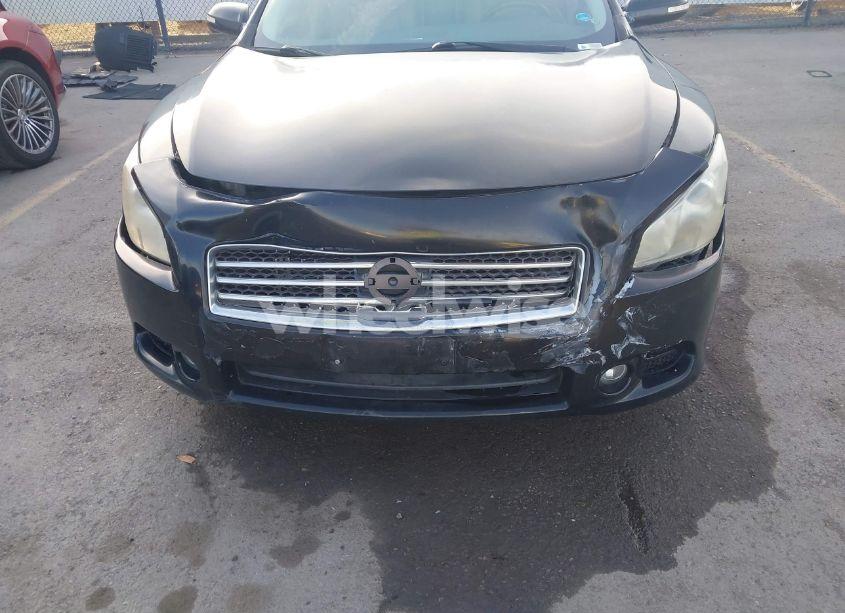 Photo 6 of 2010 Nissan Maxima 3.5 SV (VIN 1N4AA5AP1AC805361)