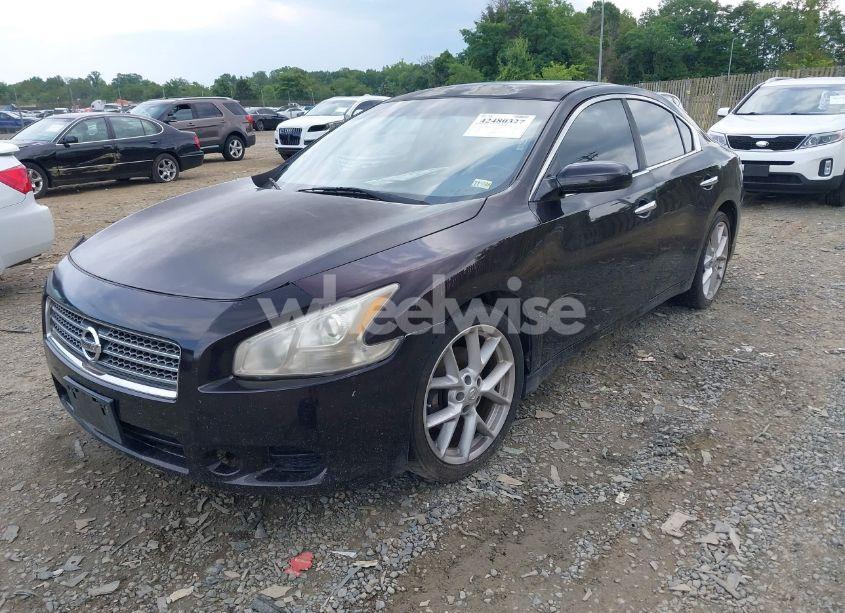 Photo 2 of 2010 Nissan Maxima 3.5 S (VIN 1N4AA5AP1AC819485)