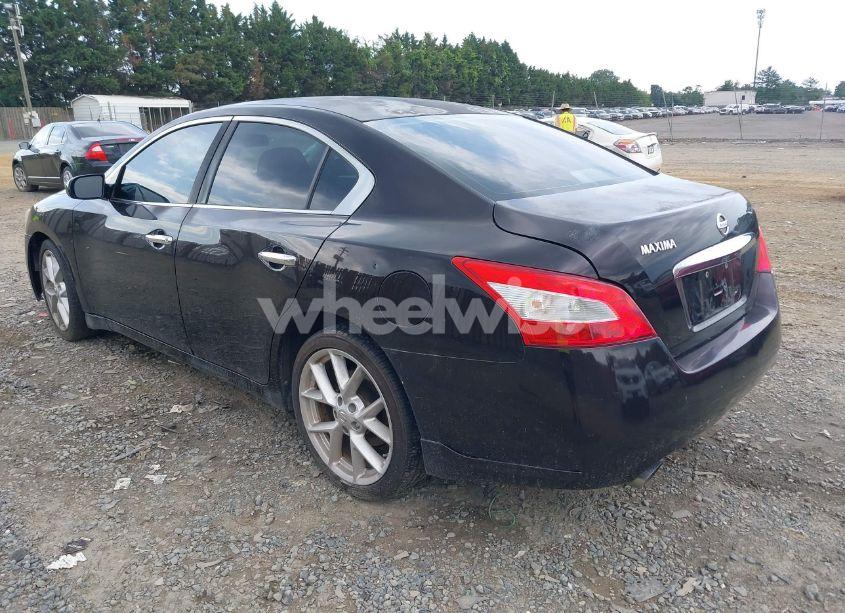 Photo 3 of 2010 Nissan Maxima 3.5 S (VIN 1N4AA5AP1AC819485)