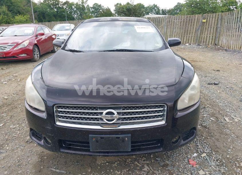 Photo 6 of 2010 Nissan Maxima 3.5 S (VIN 1N4AA5AP1AC819485)