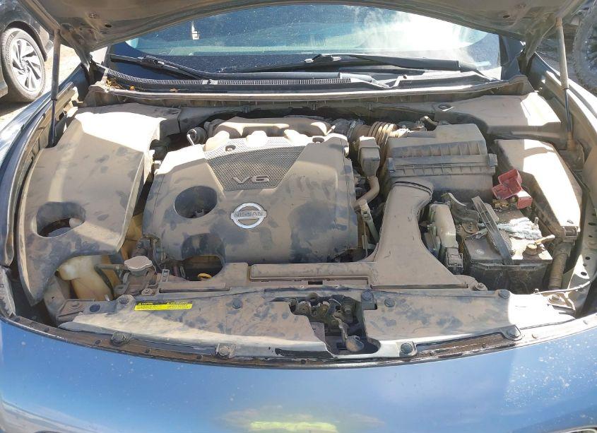 Photo 10 of 2010 Nissan Maxima 3.5 SV (VIN 1N4AA5AP1AC820586)