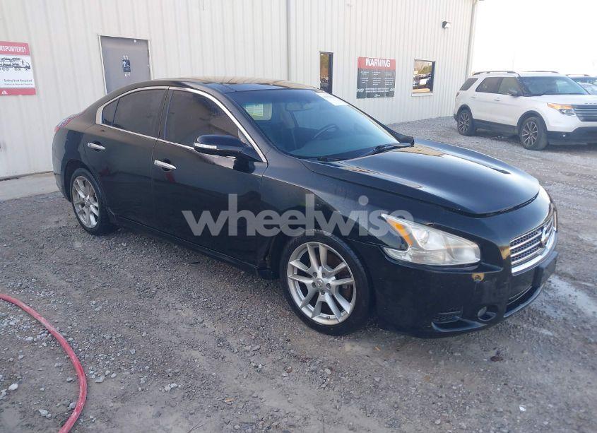 2010 Nissan Maxima 3.5 SV (VIN 1N4AA5AP1AC830793) main photo