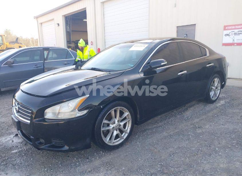 Photo 2 of 2010 Nissan Maxima 3.5 SV (VIN 1N4AA5AP1AC830793)