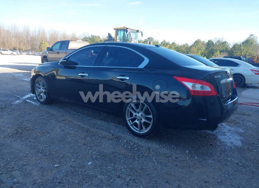 Photo 3 of 2010 Nissan Maxima 3.5 SV (VIN 1N4AA5AP1AC830793)