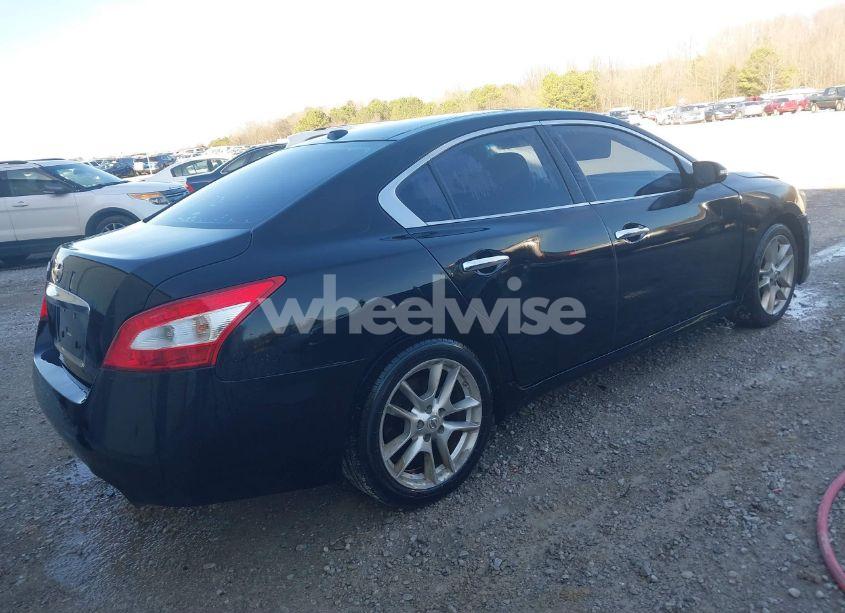 Photo 4 of 2010 Nissan Maxima 3.5 SV (VIN 1N4AA5AP1AC830793)