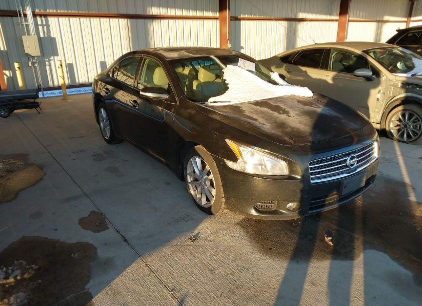 2010 Nissan Maxima 3.5 SV (VIN 1N4AA5AP1AC836545) main photo