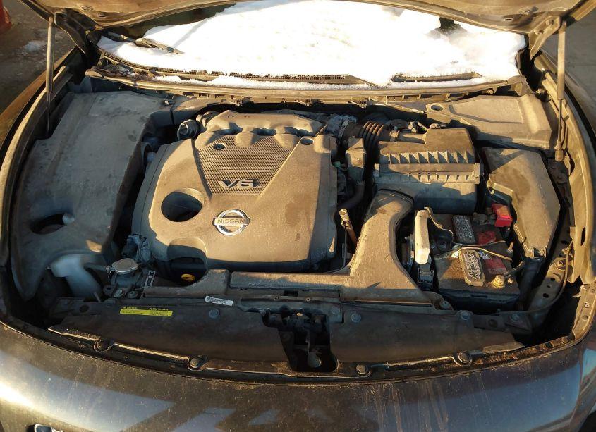 Photo 10 of 2010 Nissan Maxima 3.5 SV (VIN 1N4AA5AP1AC836545)