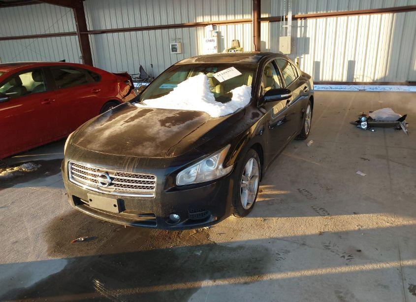 Photo 2 of 2010 Nissan Maxima 3.5 SV (VIN 1N4AA5AP1AC836545)