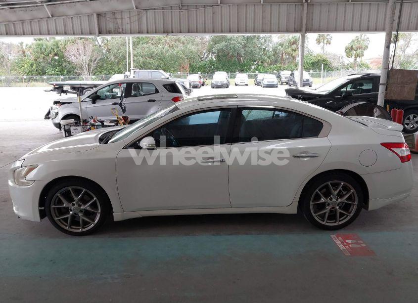 Photo 14 of 2010 Nissan Maxima 3.5 SV (VIN 1N4AA5AP1AC849036)