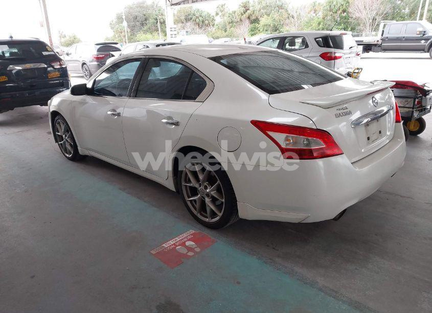 Photo 3 of 2010 Nissan Maxima 3.5 SV (VIN 1N4AA5AP1AC849036)