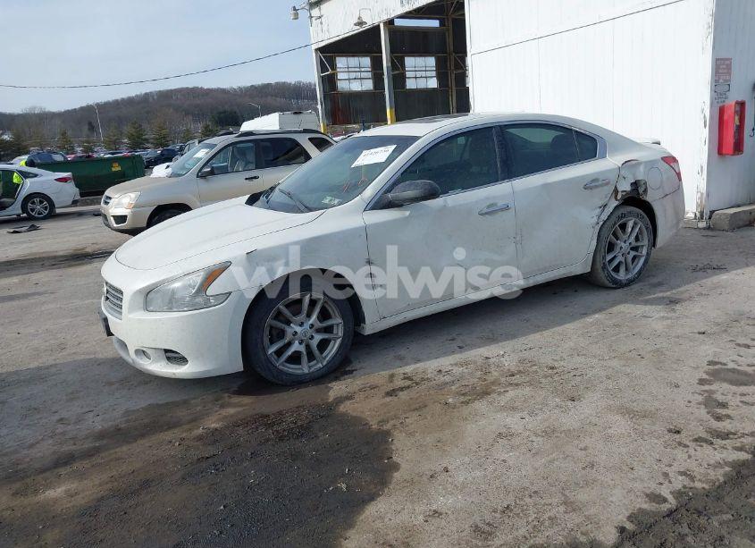 Photo 2 of 2010 Nissan Maxima 3.5 S (VIN 1N4AA5AP1AC859100)