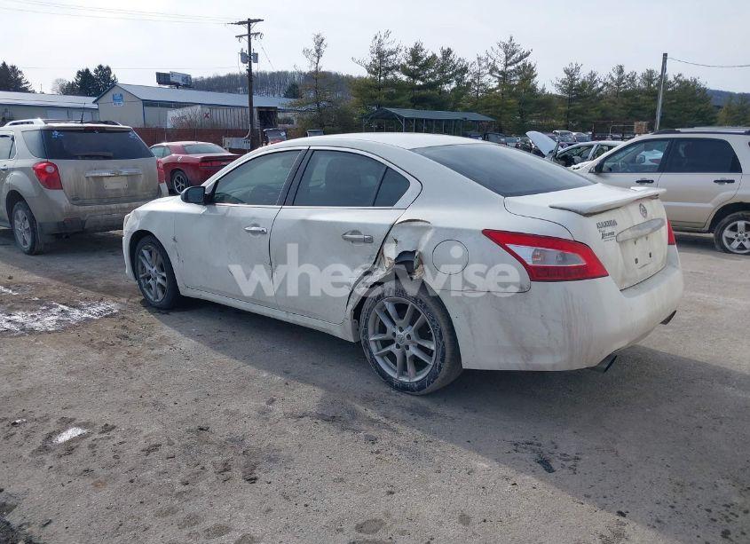 Photo 3 of 2010 Nissan Maxima 3.5 S (VIN 1N4AA5AP1AC859100)