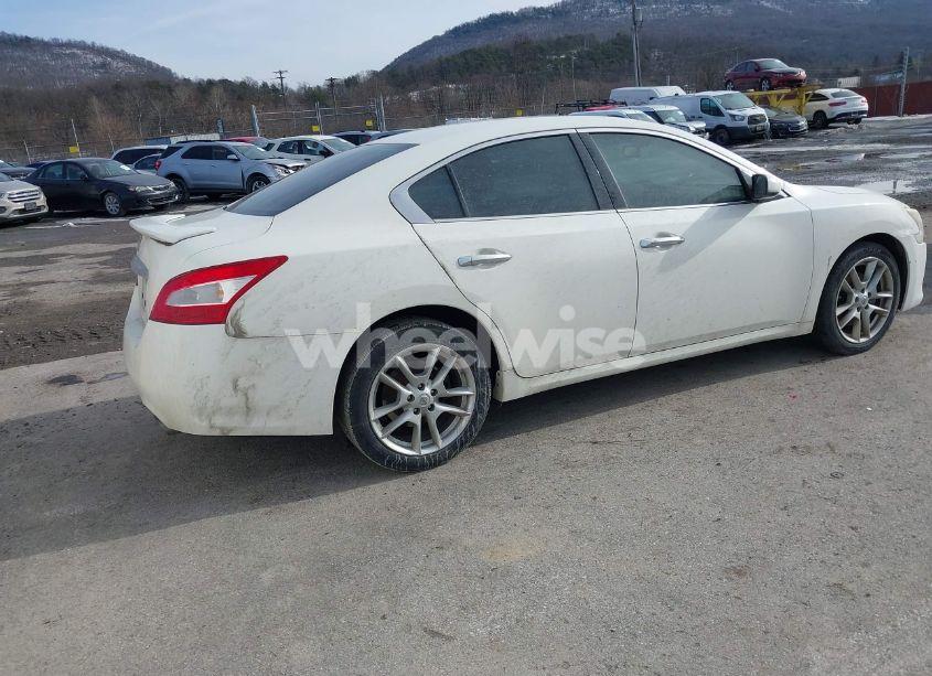 Photo 4 of 2010 Nissan Maxima 3.5 S (VIN 1N4AA5AP1AC859100)