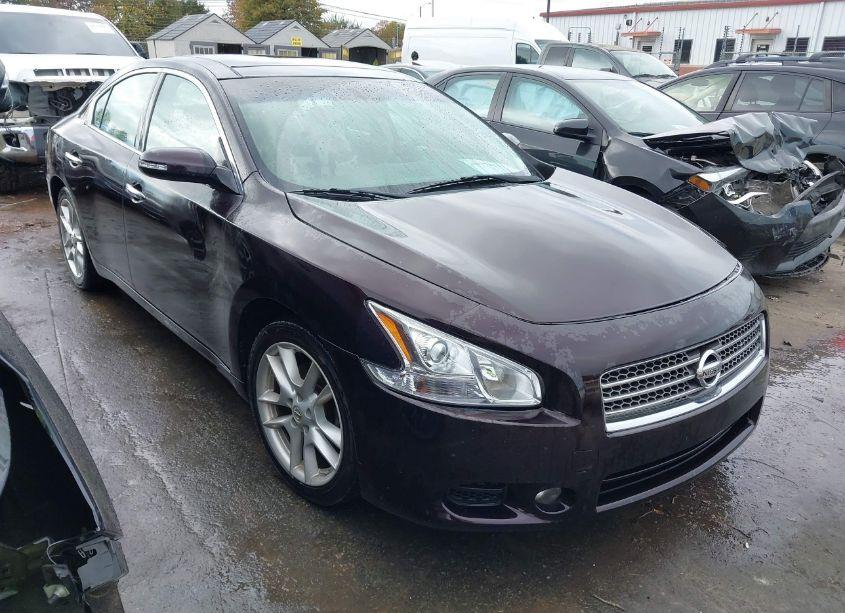 2010 Nissan Maxima 3.5 SV (VIN 1N4AA5AP1AC863549) main photo