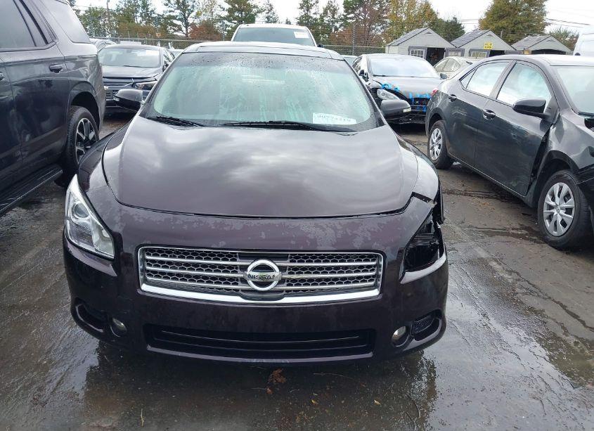 Photo 13 of 2010 Nissan Maxima 3.5 SV (VIN 1N4AA5AP1AC863549)