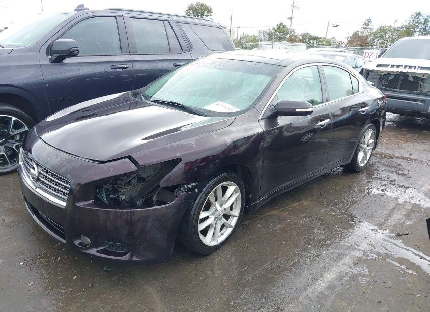 Photo 2 of 2010 Nissan Maxima 3.5 SV (VIN 1N4AA5AP1AC863549)