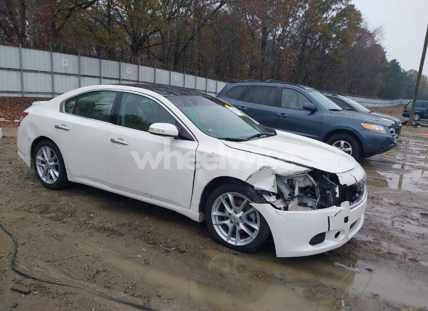 2010 Nissan Maxima 3.5 SV (VIN 1N4AA5AP1AC870601) main photo