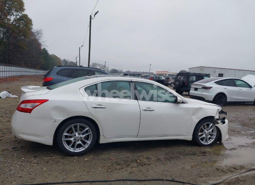 Photo 13 of 2010 Nissan Maxima 3.5 SV (VIN 1N4AA5AP1AC870601)