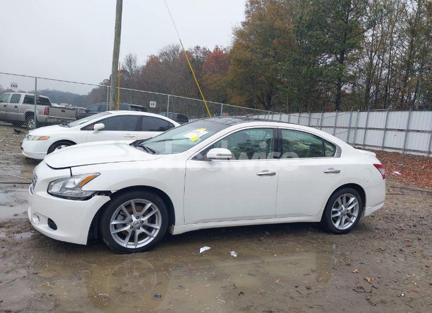 Photo 14 of 2010 Nissan Maxima 3.5 SV (VIN 1N4AA5AP1AC870601)