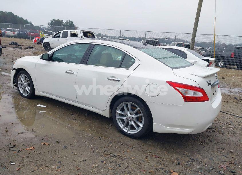 Photo 3 of 2010 Nissan Maxima 3.5 SV (VIN 1N4AA5AP1AC870601)