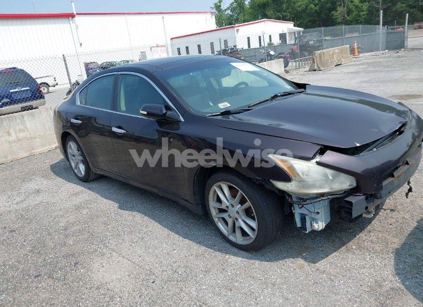 2010 Nissan Maxima 3.5 SV (VIN 1N4AA5AP1AC872882) main photo