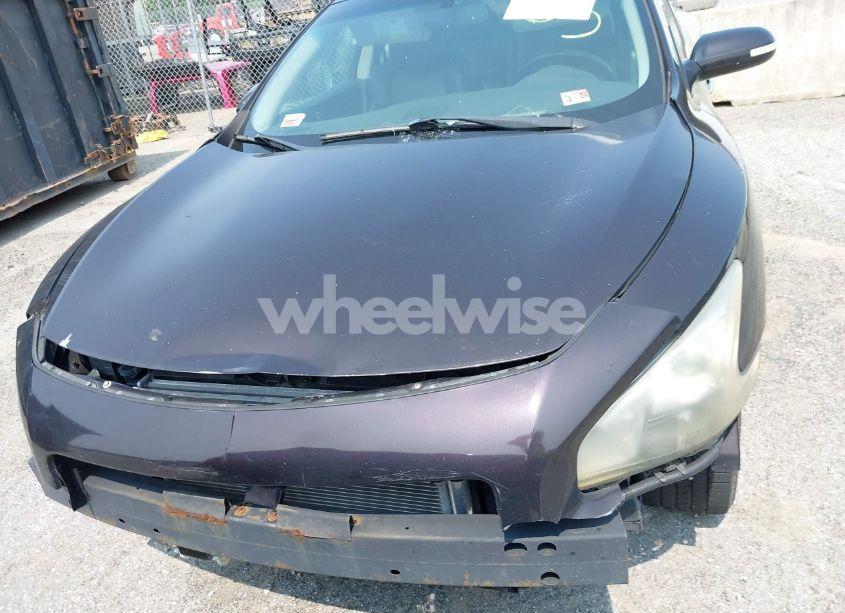 Photo 10 of 2010 Nissan Maxima 3.5 SV (VIN 1N4AA5AP1AC872882)