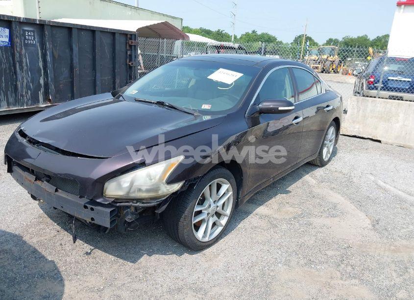 Photo 2 of 2010 Nissan Maxima 3.5 SV (VIN 1N4AA5AP1AC872882)