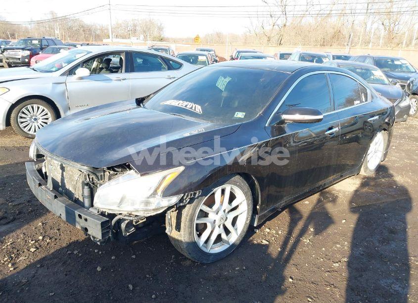 Photo 12 of 2011 Nissan Maxima 3.5 SV (VIN 1N4AA5AP1BC800498)