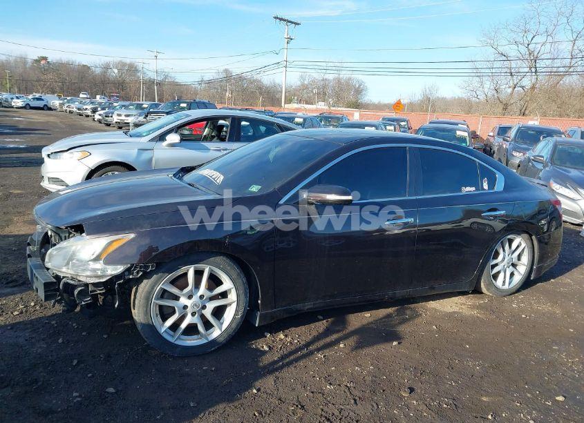 Photo 13 of 2011 Nissan Maxima 3.5 SV (VIN 1N4AA5AP1BC800498)