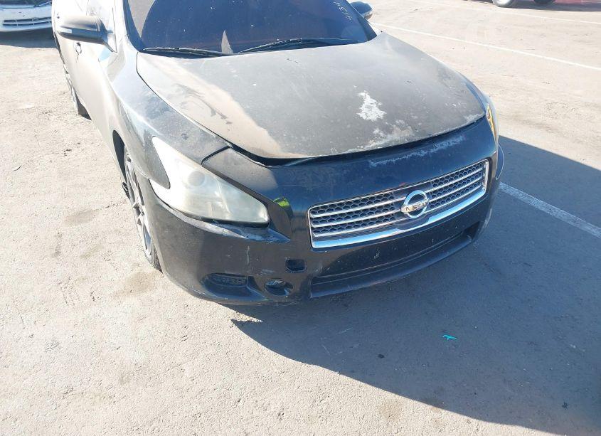 Photo 6 of 2011 Nissan Maxima 3.5 SV (VIN 1N4AA5AP1BC812912)