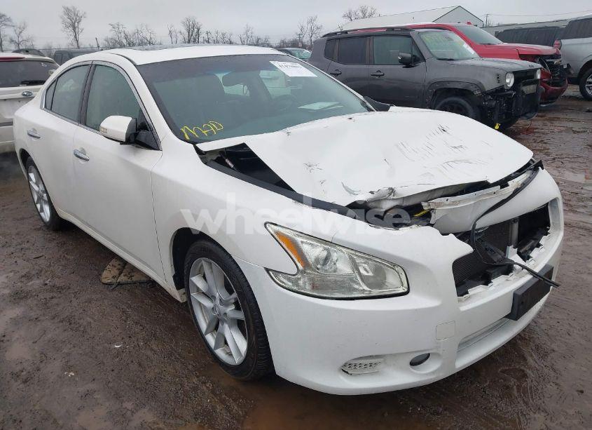 2011 Nissan Maxima 3.5 SV (VIN 1N4AA5AP1BC813803) main photo