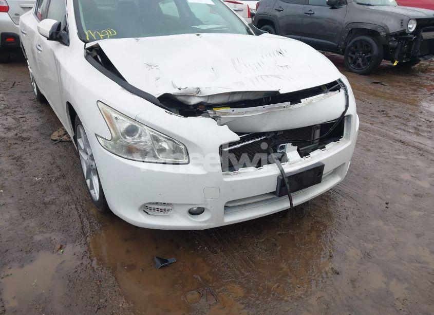 Photo 12 of 2011 Nissan Maxima 3.5 SV (VIN 1N4AA5AP1BC813803)