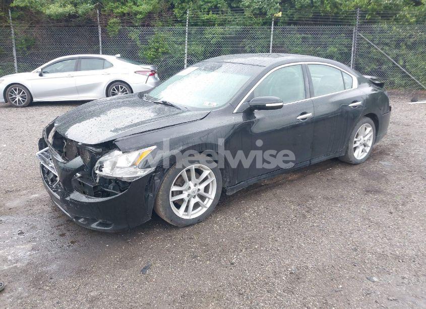 Photo 2 of 2011 Nissan Maxima 3.5 SV (VIN 1N4AA5AP1BC828592)