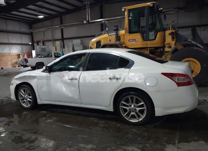 Photo 14 of 2011 Nissan Maxima 3.5 S (VIN 1N4AA5AP1BC832495)