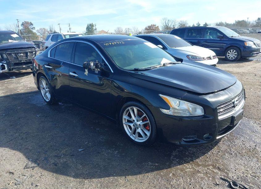 2011 Nissan Maxima 3.5 SV (VIN 1N4AA5AP1BC832805) main photo