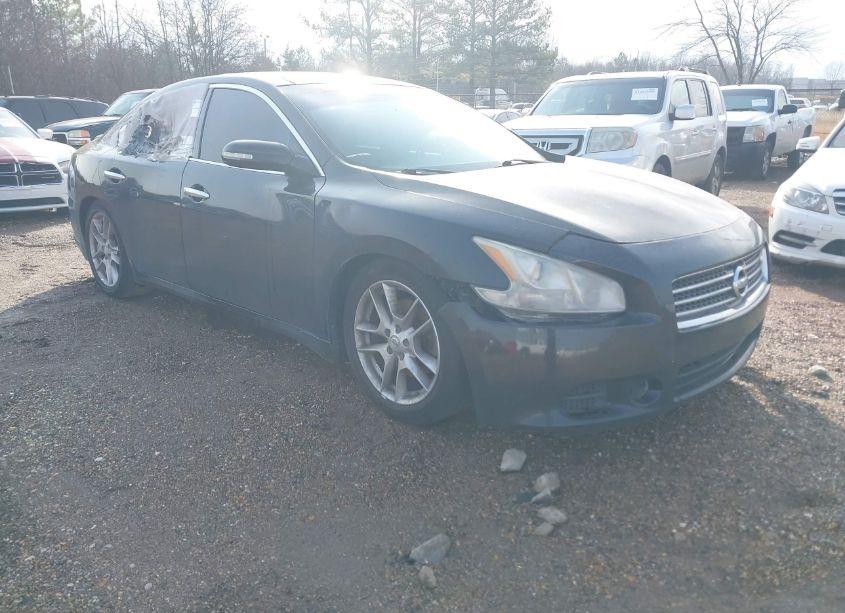 2011 Nissan Maxima 3.5 SV (VIN 1N4AA5AP1BC837633) main photo