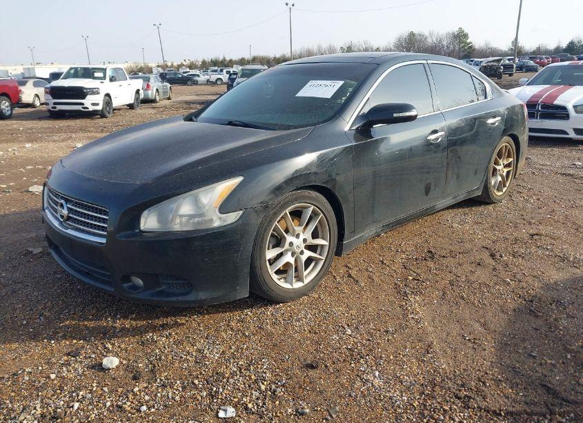 Photo 2 of 2011 Nissan Maxima 3.5 SV (VIN 1N4AA5AP1BC837633)