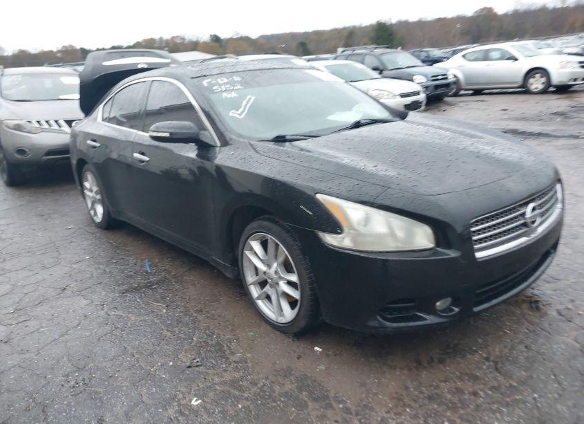 2011 Nissan Maxima 3.5 SV (VIN 1N4AA5AP1BC840189) main photo