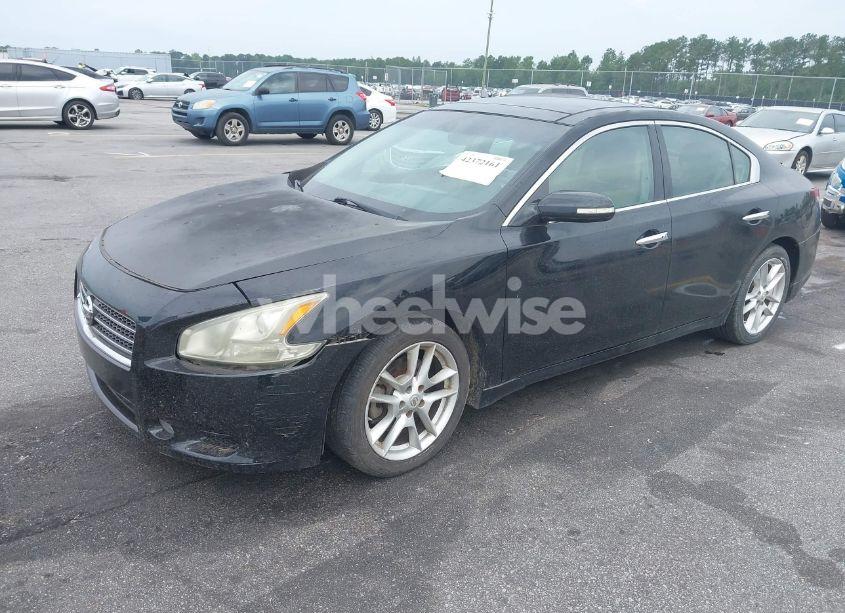 Photo 2 of 2011 Nissan Maxima 3.5 SV (VIN 1N4AA5AP1BC855128)