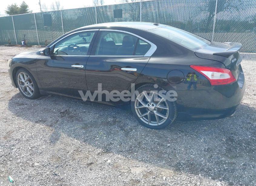 Photo 3 of 2011 Nissan Maxima 3.5 SV (VIN 1N4AA5AP1BC864038)