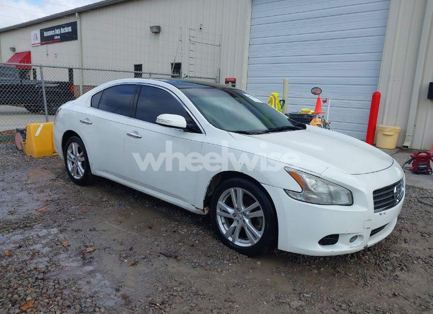 2013 Nissan Maxima 3.5 SV (VIN 1N4AA5AP1DC832032) main photo