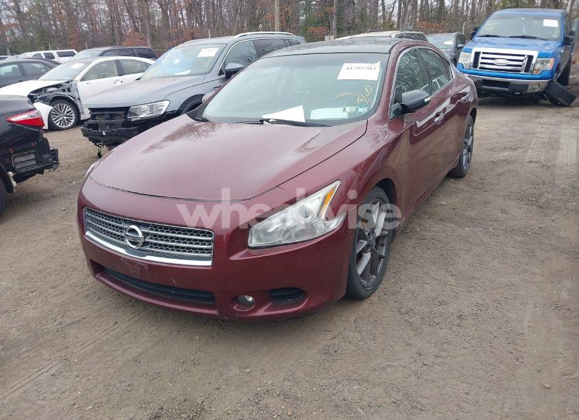 Photo 2 of 2010 Nissan Maxima 3.5 SV (VIN 1N4AA5AP2AC809533)