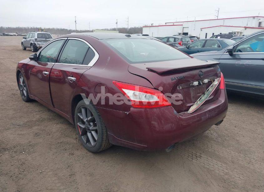 Photo 3 of 2010 Nissan Maxima 3.5 SV (VIN 1N4AA5AP2AC809533)
