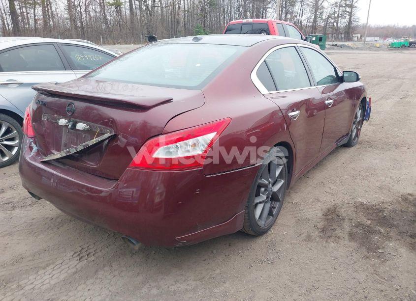 Photo 4 of 2010 Nissan Maxima 3.5 SV (VIN 1N4AA5AP2AC809533)