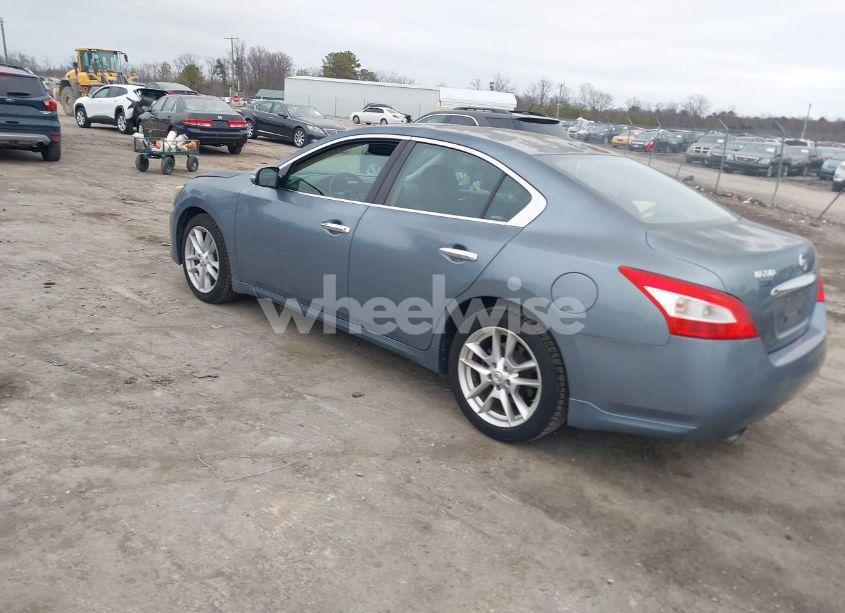Photo 3 of 2010 Nissan Maxima 3.5 SV (VIN 1N4AA5AP2AC811895)