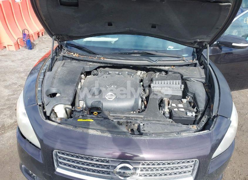 Photo 10 of 2010 Nissan Maxima 3.5 SV (VIN 1N4AA5AP2AC813002)
